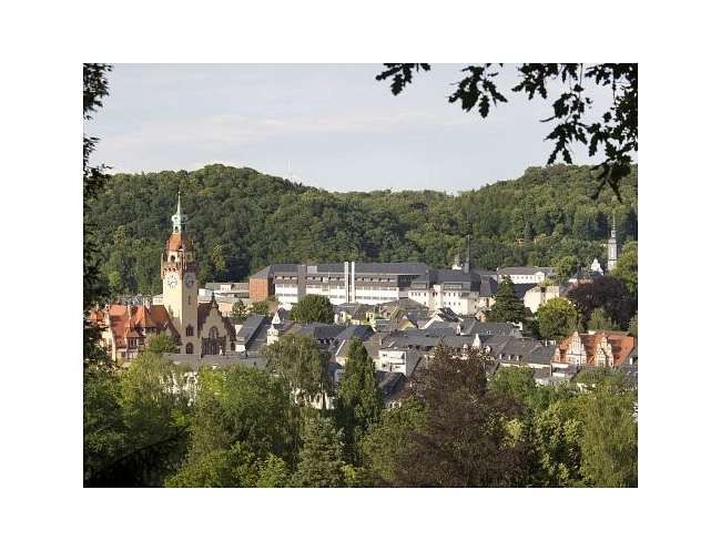 Das Bild zeigt die Stadt Waldheim aus erhöhter Perspektive.
Links im Bild steht das Rathaus von Waldheim. Es ist ein historisches Gebäude mit gelber Fassade, rotem Dach und einem hohen Turm mit Uhr und grüner Turmspitze.
In der Mitte und im Hintergrund sieht man die Gebäude der JVA Waldheim. Die Gebäude sind größer und moderner gestaltet. Sie haben helle Fassaden und flache Dächer.

Zwischen Rathaus und JVA liegen viele Wohnhäuser mit grauen und roten Dächern. Die Stadt ist von vielen Bäumen umgeben.

Im Hintergrund erkennt man bewaldete Hügel. Der Himmel ist hell und leicht bewölkt.
Das Bild zeigt Waldheim als grüne Stadt mit historischen und modernen Gebäuden.