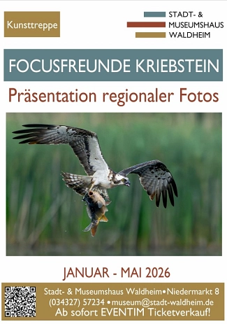 Das Bild zeigt ein Naturfoto, auf dem ein Greifvogel – vermutlich ein Fischadler – im Flug zu sehen ist. Der Vogel hält einen Fisch in seinen Krallen, während er sich über eine grüne Landschaft bewegt. Die Farben des Bildes sind lebendig, mit einem klaren Himmel und üppigem Grün im Hintergrund, was die Dynamik des Vogels und seiner Beute unterstreicht.
Dieses Bild ist Teil der Veranstaltung "Präsentation regionaler Fotos" im Stadt- und Museumshaus Waldheim. Die Ausstellung, die von den "Focusfreunden Kriebstein" gestaltet wurde, zeigt Fotografien aus der Region und ist von Januar bis Mai 2026 zu besuchen. Die Fotos können Sie zu den Öffnungszeiten betrachten.&nbsp;&copy;&nbsp;Anja Seidel