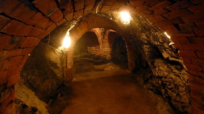 Kellerberg der Stadt Waldheim