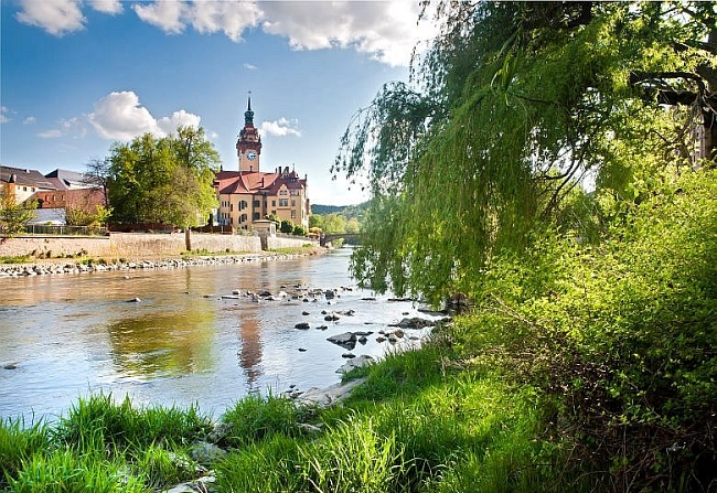 Rathaus mit Bäumen und Zschopau