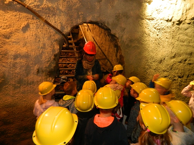 Schatzsuche im Kellerberg 1