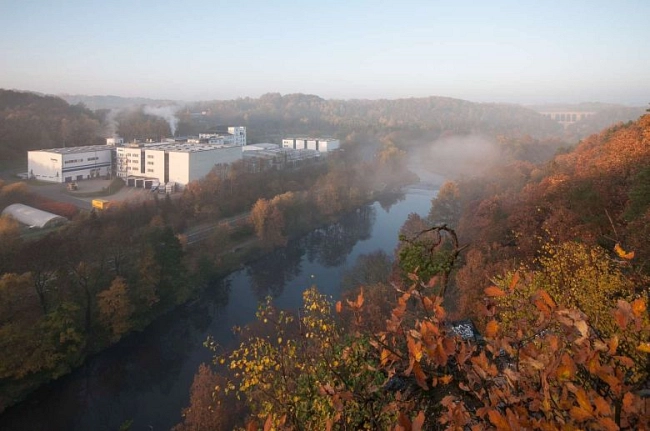Das Bild zeigt die Stadt Waldheim in Sachsen. Die Aufnahme entstand vom Kreuzfelsen aus mit Blick auf das ehemalige Gebäude der Florena.

Im Vordergrund sind herbstlich gefärbte Sträucher und Blätter in Orange- und Brauntönen zu sehen. Rechts fällt der Hang steil nach unten ab und ist dicht bewaldet.
In der Mitte des Bildes fließt die Zschopau in einer Kurve durch das Tal. Der Fluss wirkt ruhig und spiegelt das Licht. Über dem Wasser liegt leichter Morgennebel.
Auf der linken Seite steht ein größeres, helles Industriegebäude – das ehemalige Gebäude der Florena. Es besteht aus mehreren miteinander verbundenen Baukörpern mit flachen Dächern. Daneben befinden sich weitere kleinere Gebäude und befestigte Flächen.
Im Hintergrund sind bewaldete Hügel und vereinzelte Häuser zu erkennen. Der Himmel ist hell und klar, mit leichtem Dunst über der Landschaft. Die Stimmung wirkt ruhig und herbstlich.