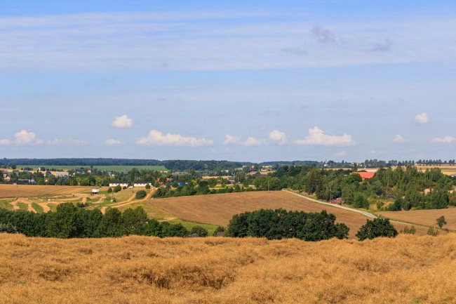 Weite Landschaft im Umland der Stadt Waldheim. Im Vordergrund ist ein goldbraunes Feld zu sehen, das sich sanft über eine Anhöhe erstreckt. Dahinter folgen weitere Felder in unterschiedlichen Braun- und Grüntönen, unterbrochen von Baumreihen und kleinen Waldstücken.
Zwischen den Feldern liegen vereinzelt Häuser und landwirtschaftliche Gebäude. Eine schmale Straße führt durch die Landschaft. Am Horizont ist eine geschlossene Baumlinie zu erkennen. Darüber spannt sich ein heller, leicht bewölkter Himmel mit einzelnen kleinen, weißen Wolken.
Die Szene vermittelt eine ruhige, ländliche Atmosphäre mit weitem Blick über die Umgebung der Stadt Waldheim.