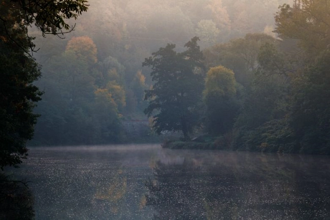 Zschopau im Nebel liegend und vom Wald umgeben